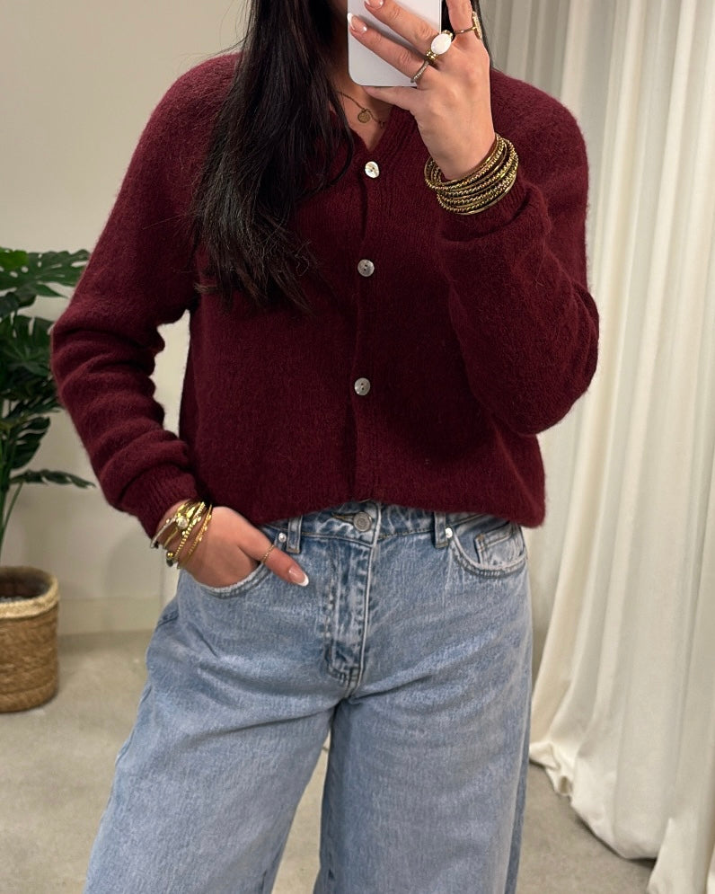 AMNovi Cardigan